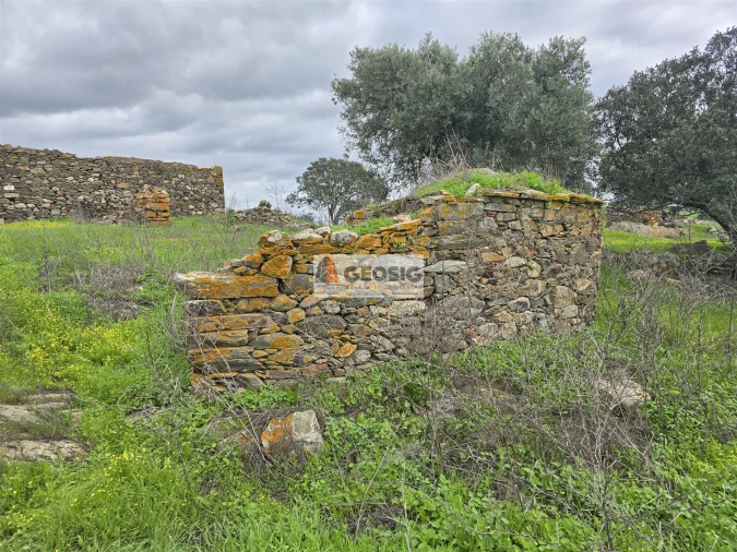 Terreno Agricola ou Rústico para Venda em Castro Verde e Casével Foto 12