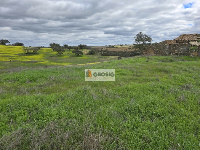 Terreno Agricola ou Rústico para Venda em Castro Verde e Casével Foto 1