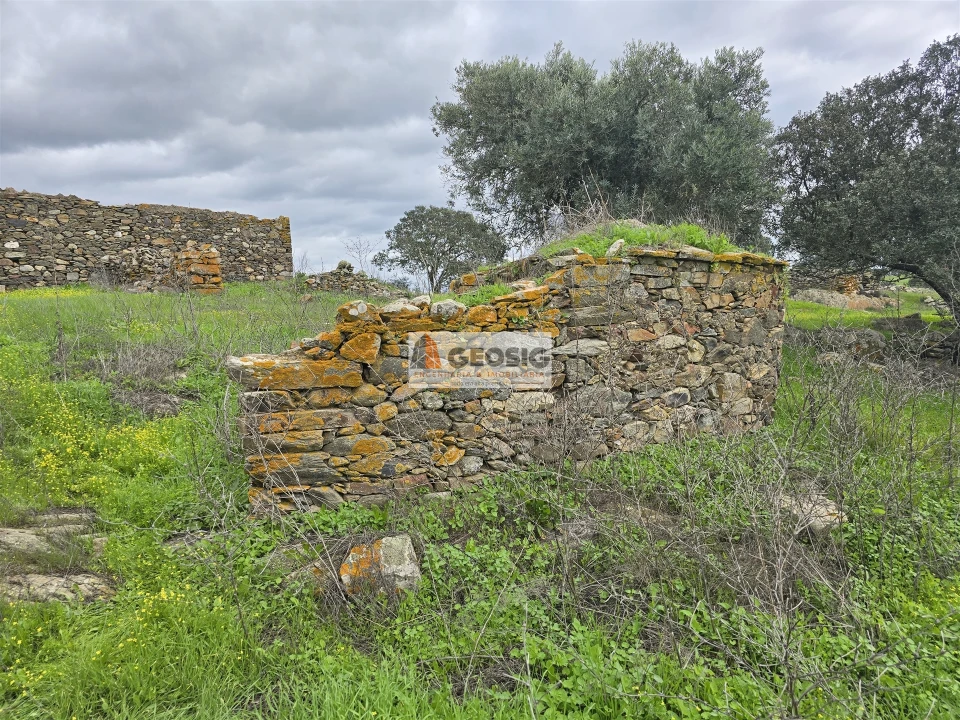 Terreno Agricola ou Rústico para Venda em Castro Verde e Casével Foto 12