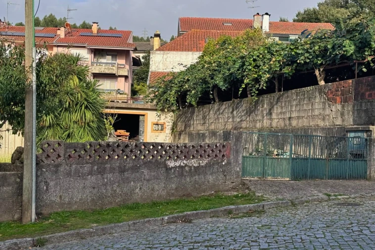 Terreno para Venda em São Pedro Fins Foto 12