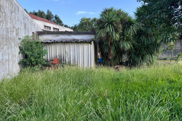 Terreno para Venda em São Pedro Fins Foto 22