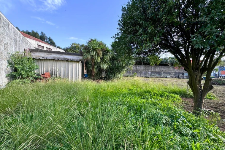 Terreno para Venda em São Pedro Fins Foto 21