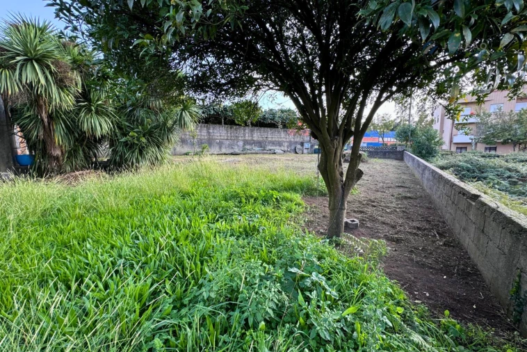 Terreno para Venda em São Pedro Fins Foto 19