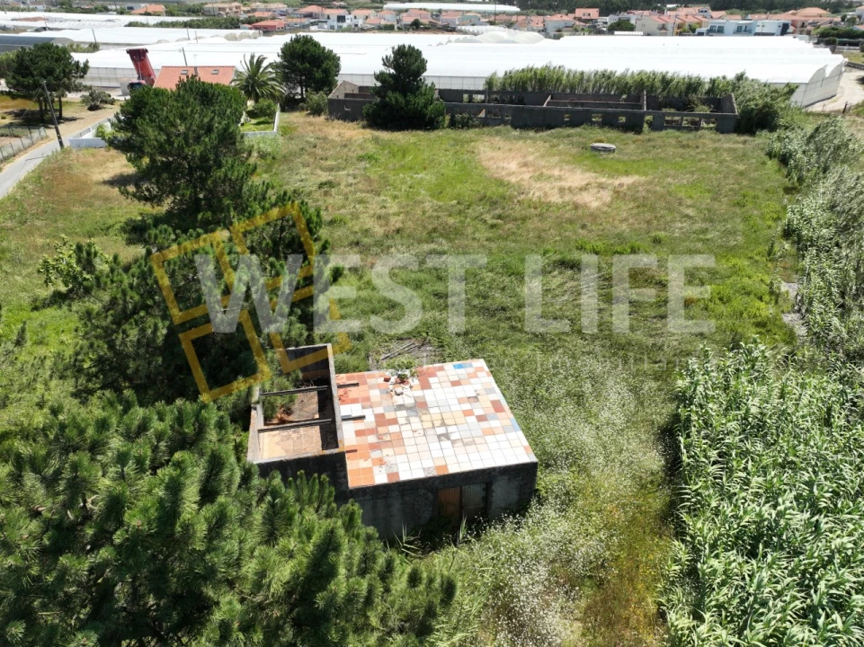 Terreno para Venda em Silveira Foto 3