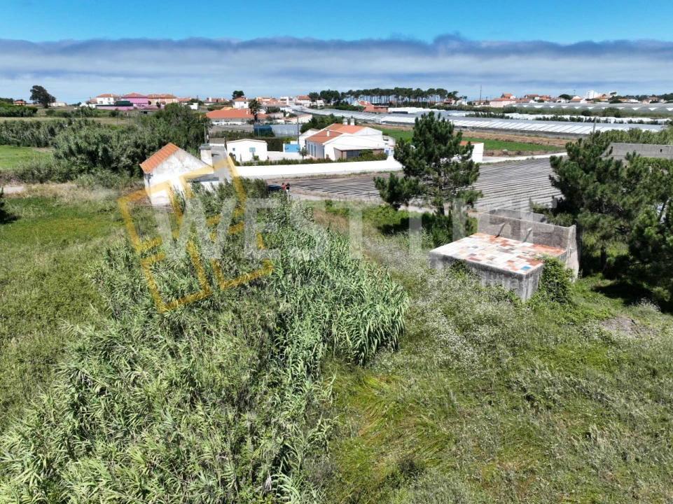 Terreno para Venda em Silveira Foto 7