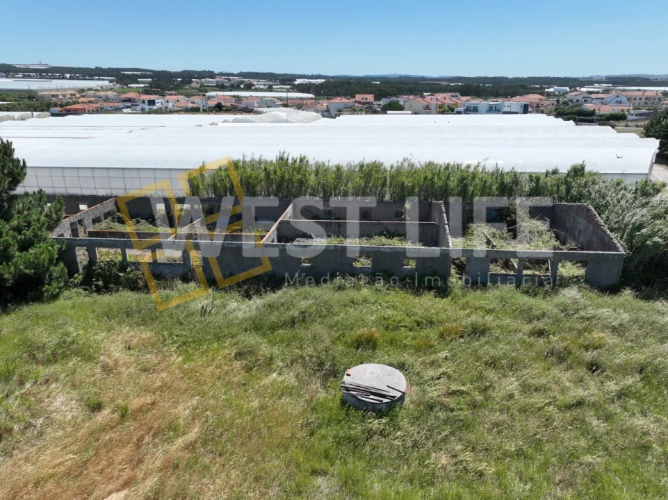 Terreno para Venda em Silveira Foto 8