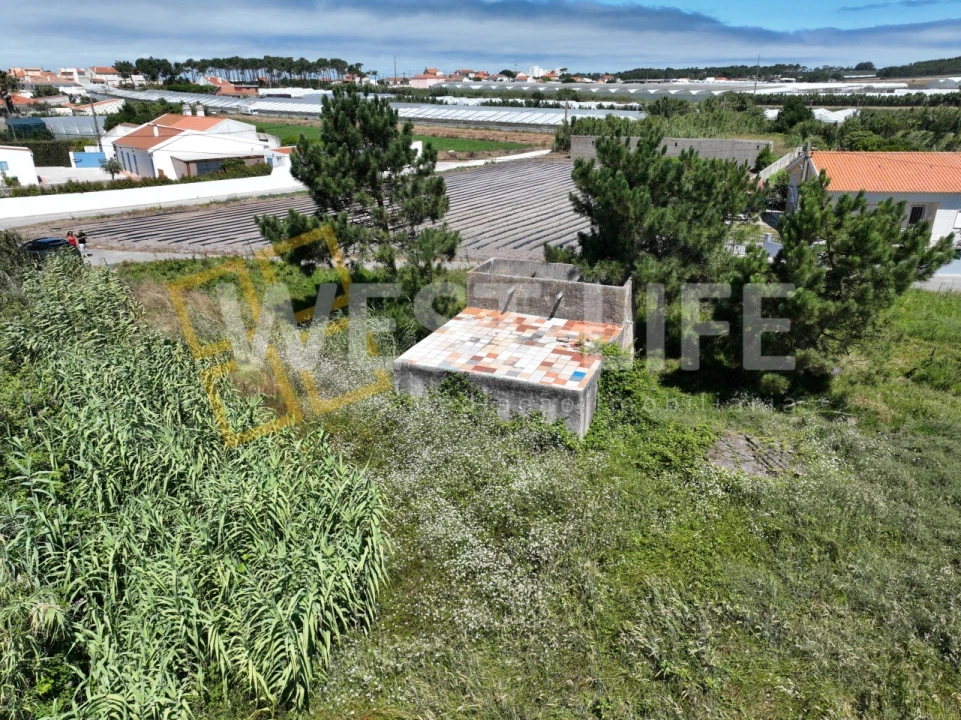 Terreno para Venda em Silveira Foto 10