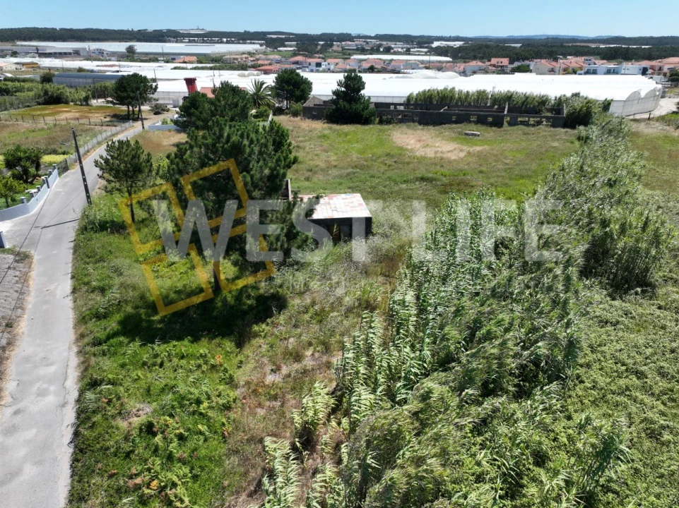 Terreno para Venda em Silveira Foto 13