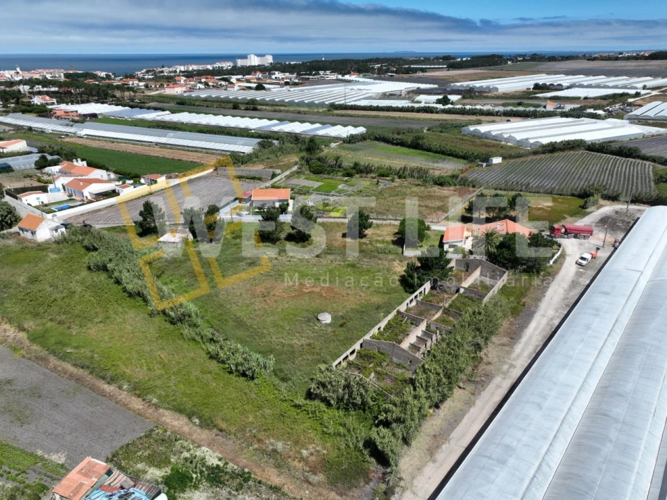 Terreno para Venda em Silveira Foto 14