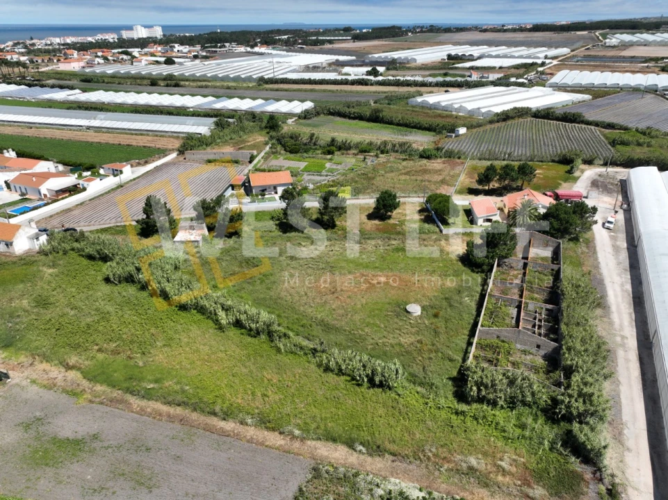 Terreno para Venda em Silveira Foto 4