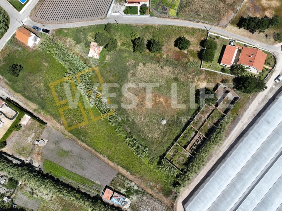 Terreno para Venda em Silveira Foto 18