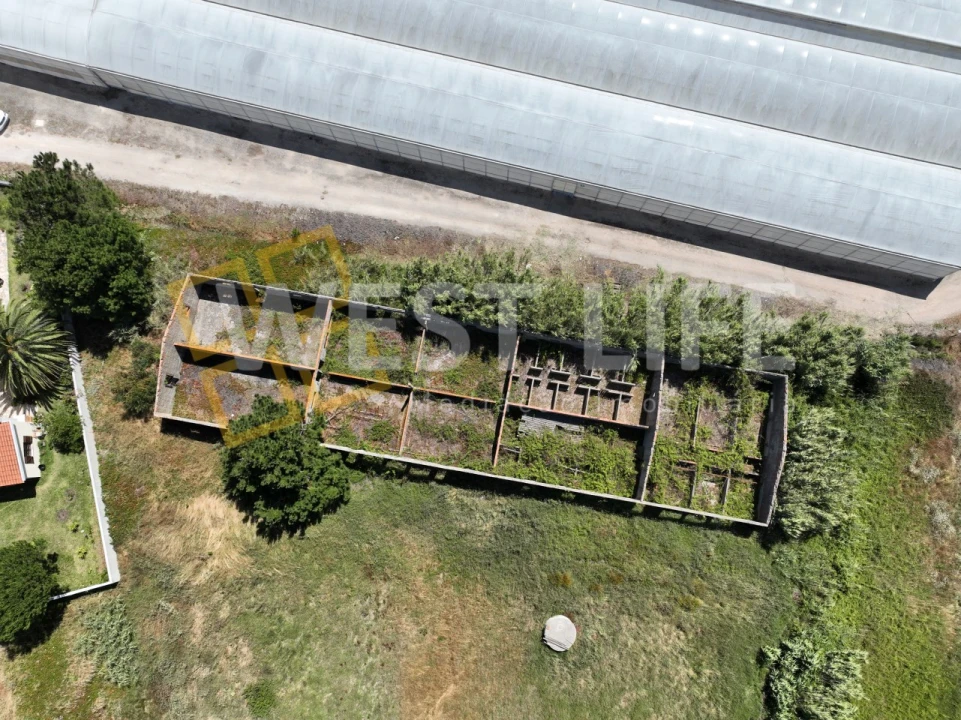 Terreno para Venda em Silveira Foto 19