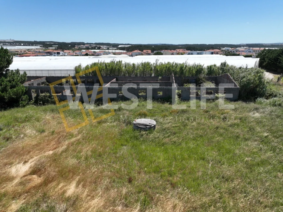 Terreno para Venda em Silveira Foto 20