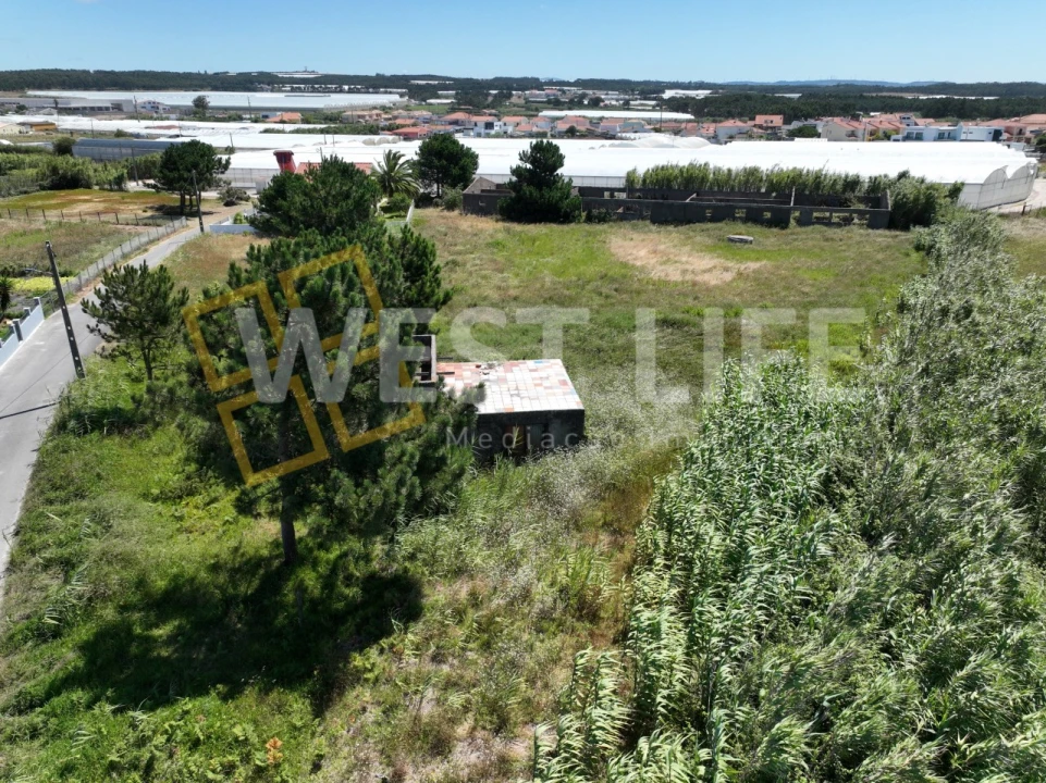 Terreno para Venda em Silveira Foto 21