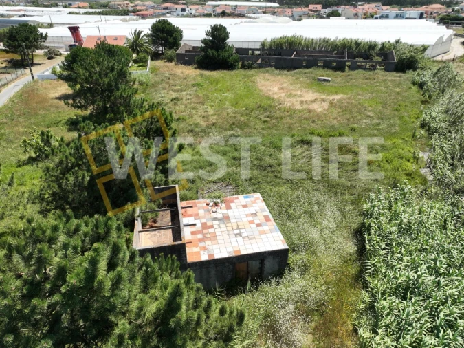 Terreno para Venda em Silveira Foto 3