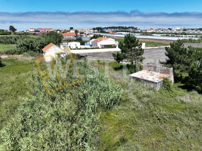 Terreno para Venda em Silveira Foto 7