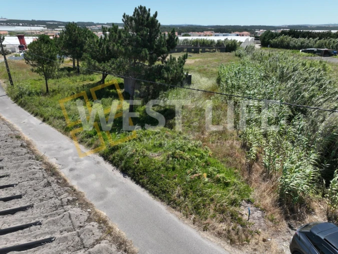 Terreno para Venda em Silveira Foto 11