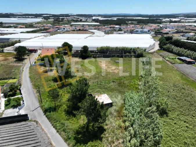 Terreno para Venda em Silveira Foto 15