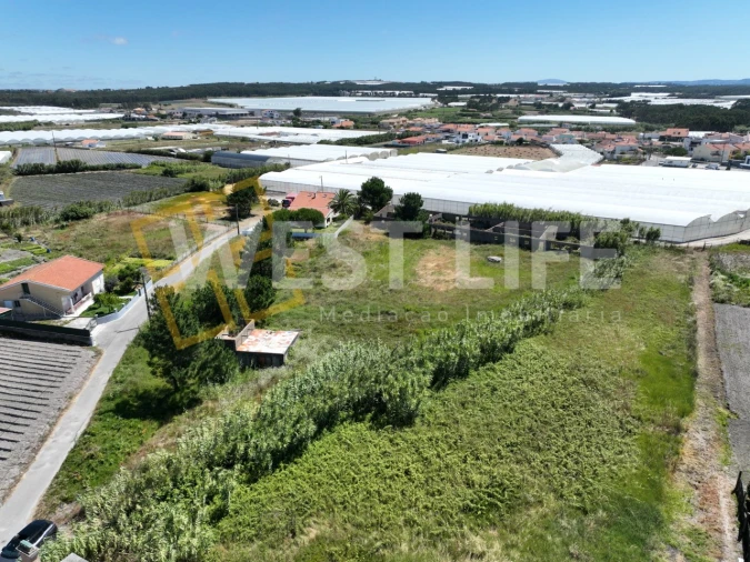 Terreno para Venda em Silveira Foto 5