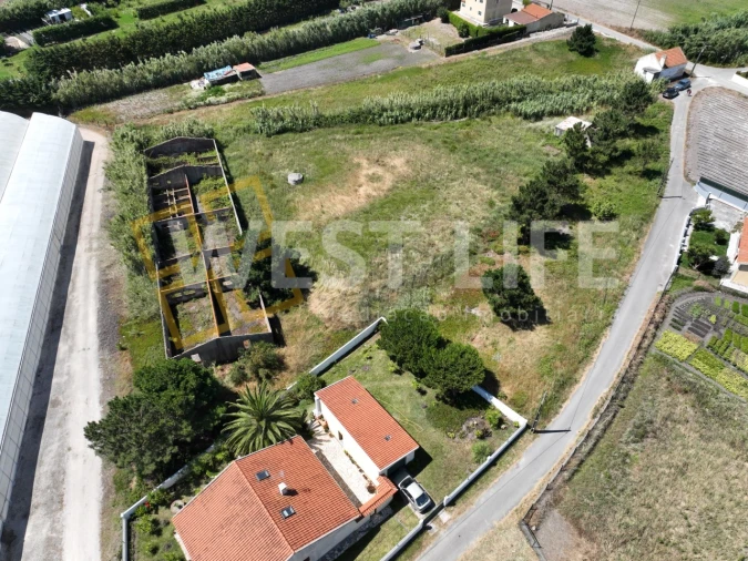 Terreno para Venda em Silveira Foto 17