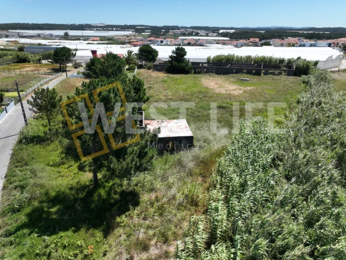 Terreno para Venda em Silveira Foto 21