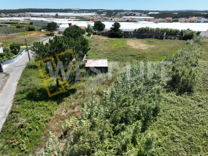 Terreno para Venda em Silveira Foto 22