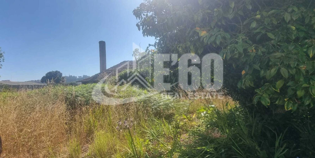 Terreno para Venda em Santa Maria de Lamas Foto 4