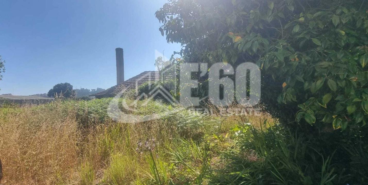 Terreno para Venda em Santa Maria de Lamas Foto 4