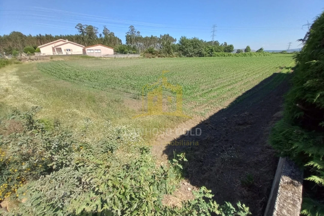 Terreno Agricola ou Rústico para Venda em Pedralva Foto 11