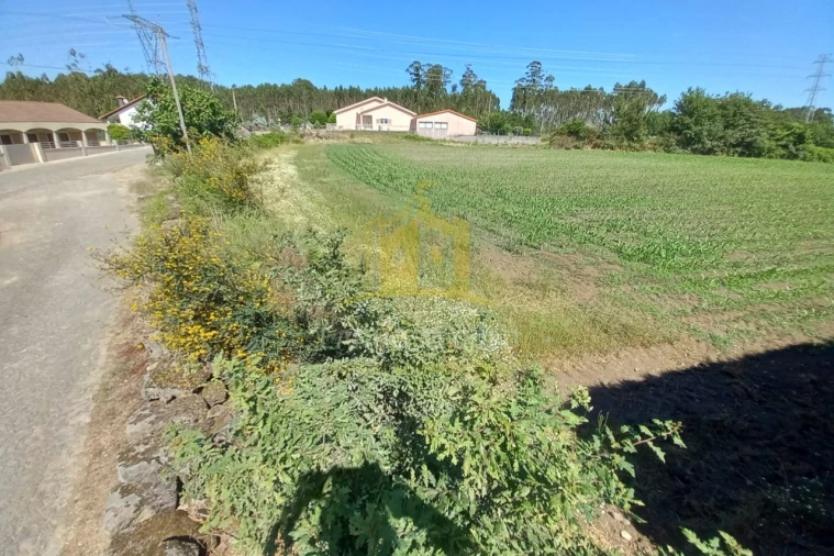 Terreno Agricola ou Rústico para Venda em Pedralva Foto 1