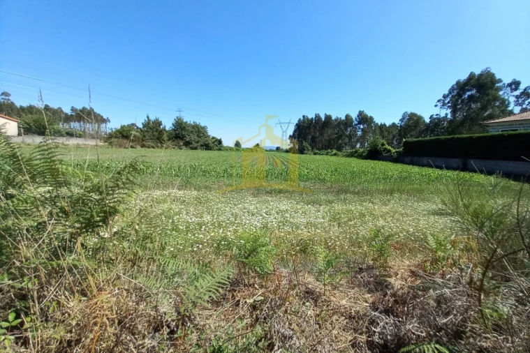Terreno Agricola ou Rústico para Venda em Pedralva Foto 2