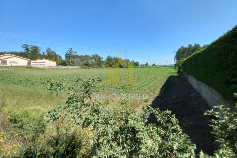 Terreno Agricola ou Rústico para Venda em Pedralva Foto 7
