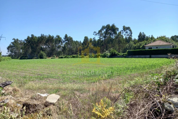 Terreno Agricola ou Rústico para Venda em Pedralva Foto 3