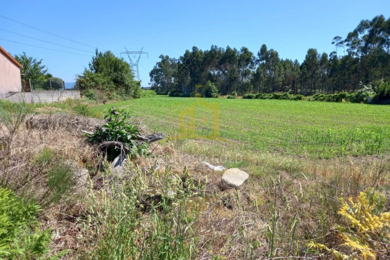 Terreno Agricola ou Rústico para Venda em Pedralva Foto 10