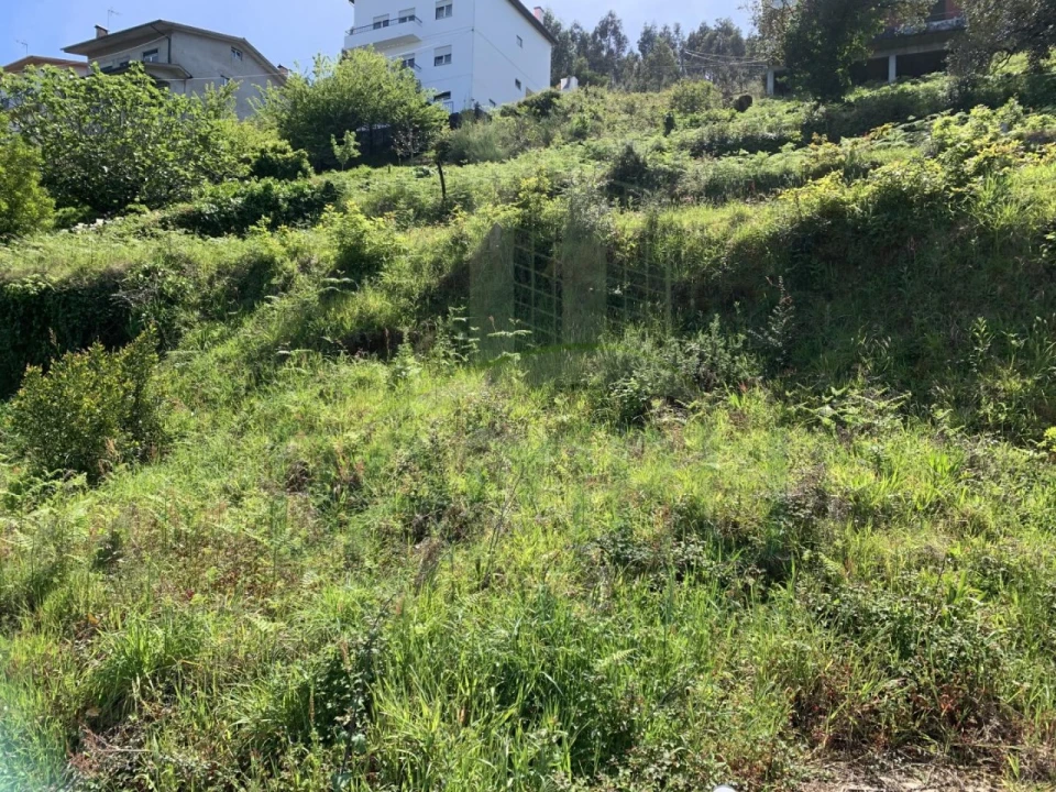 Terreno para Venda em Seixas Foto 4