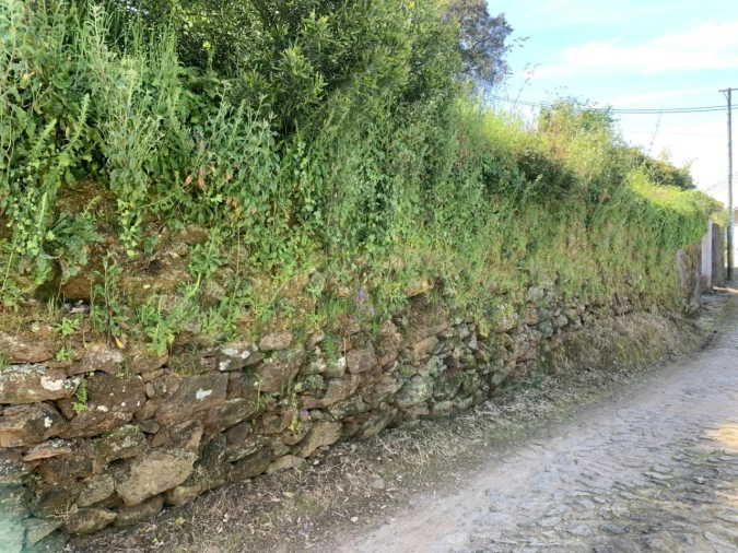 Terreno para Venda em Seixas Foto 6