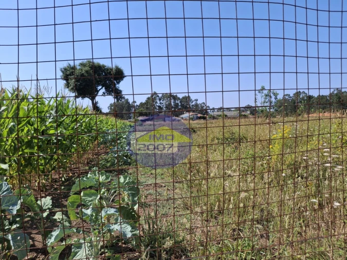 Terreno para Venda em São Miguel do Souto e Mosteirô Foto 3