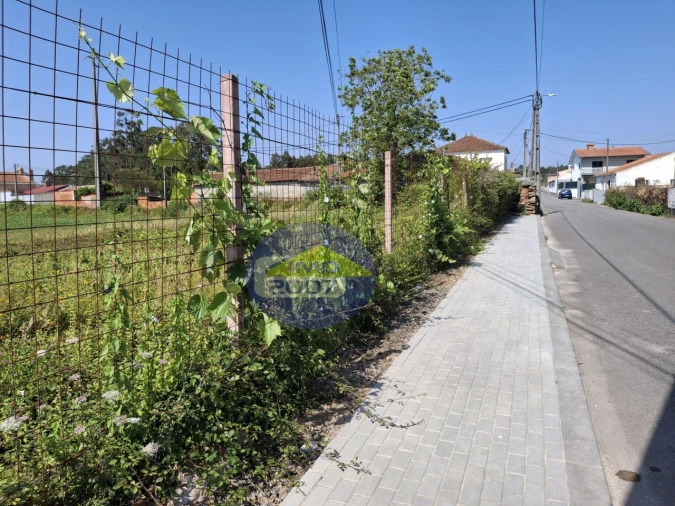 Terreno para Venda em São Miguel do Souto e Mosteirô Foto 7