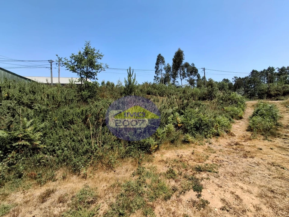 Terreno para Venda em Milheiros de Poiares Foto 11