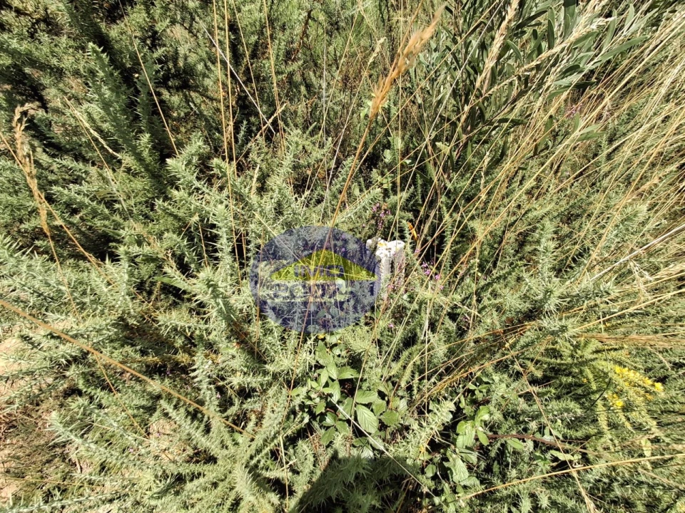 Terreno para Venda em Milheiros de Poiares Foto 12