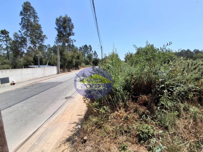 Terreno para Venda em Milheiros de Poiares Foto 5