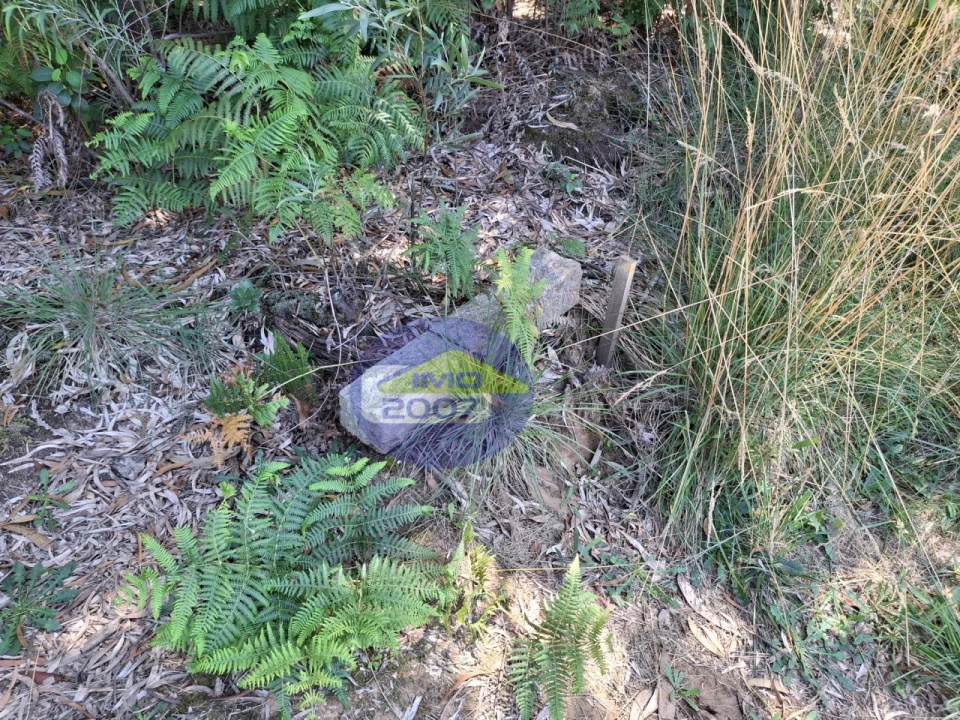 Terreno para Venda em São Miguel do Souto e Mosteirô Foto 4