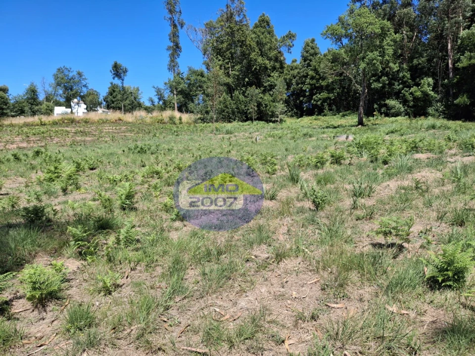 Terreno para Venda em São Miguel do Souto e Mosteirô Foto 6