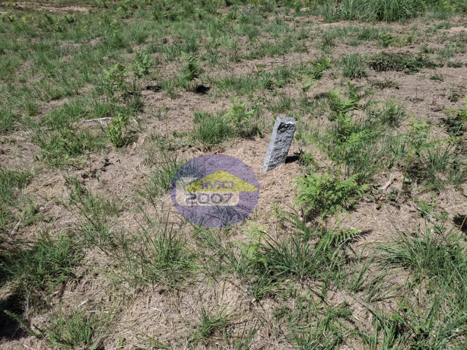 Terreno para Venda em São Miguel do Souto e Mosteirô Foto 12