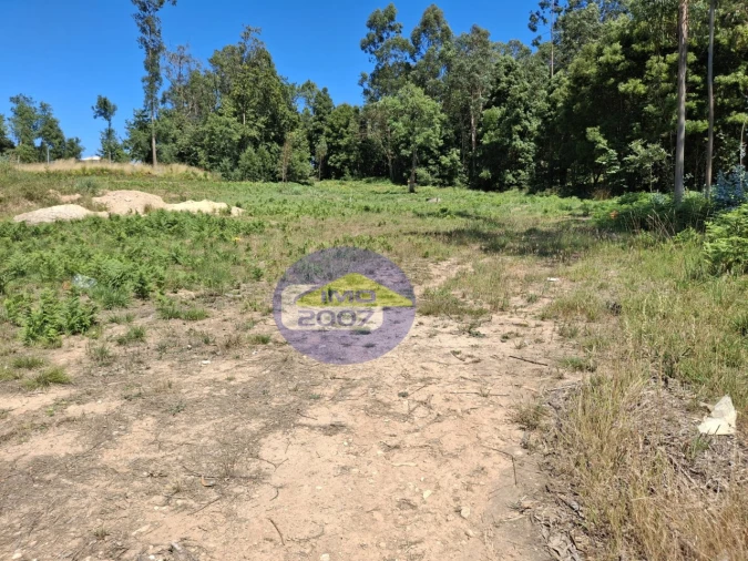 Terreno para Venda em São Miguel do Souto e Mosteirô Foto 10