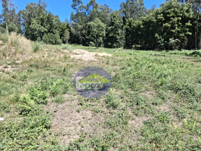 Terreno para Venda em São Miguel do Souto e Mosteirô Foto 11