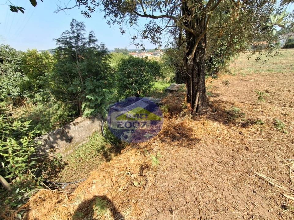 Moradia T1 para Venda em Nogueira da Regedoura Foto 17