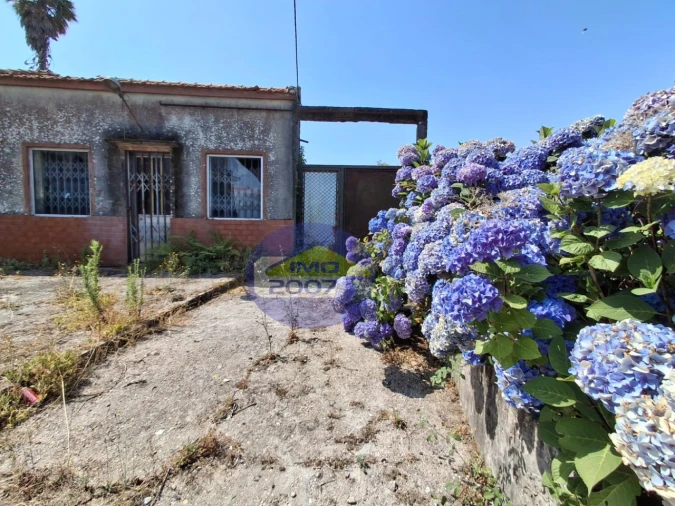 Moradia T1 para Venda em Nogueira da Regedoura