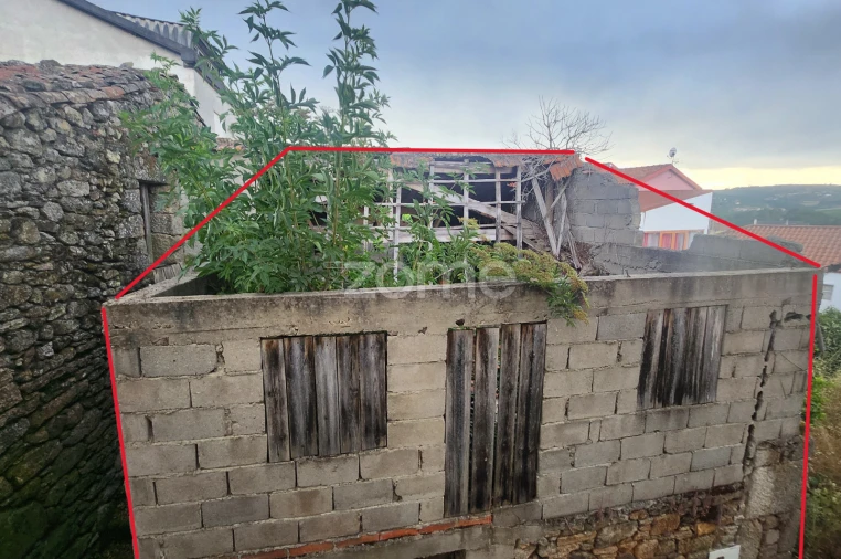 Terreno para Venda em São Martinho das Chãs