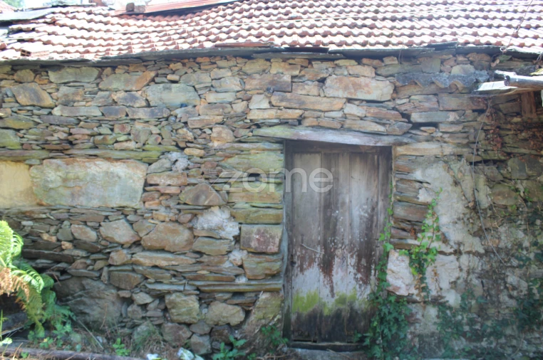 Moradia T3 para Venda em Raiva, Pedorido e Paraíso Foto 3